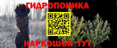 спиды Краснознаменск