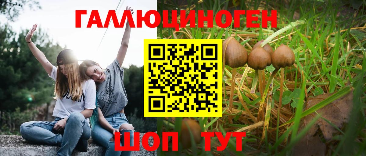 Псилоцибиновые грибы мицелий  Вход с VPN  Соликамск 